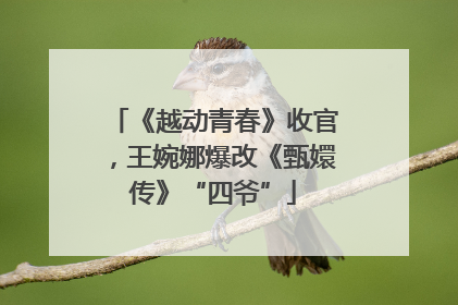 《越动青春》收官，王婉娜爆改《甄嬛传》“四爷”