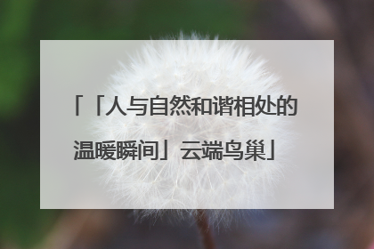 「人与自然和谐相处的温暖瞬间」云端鸟巢