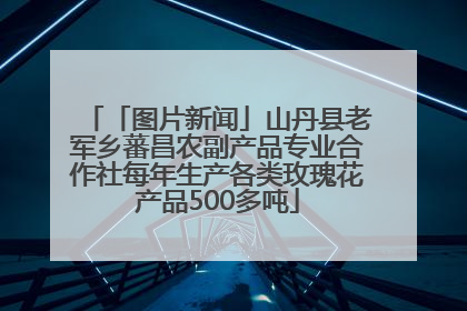 「图片新闻」山丹县老军乡蕃昌农副产品专业合作社每年生产各类玫瑰花产品500多吨