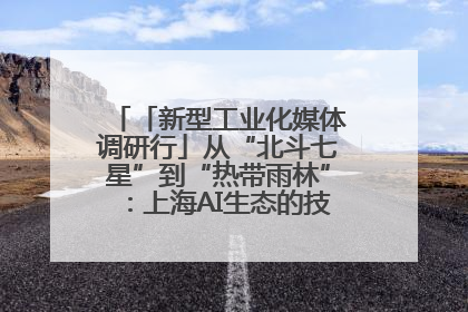 「新型工业化媒体调研行」从“北斗七星”到“热带雨林”：上海AI生态的技术商业共生密码