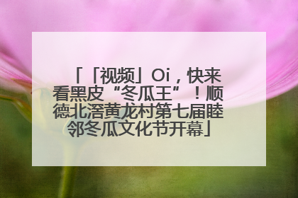「视频」Oi，快来看黑皮“冬瓜王”！顺德北滘黄龙村第七届睦邻冬瓜文化节开幕