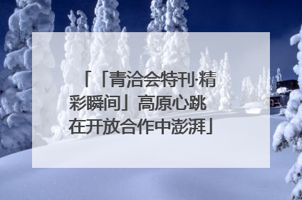 「青洽会特刊·精彩瞬间」高原心跳 在开放合作中澎湃