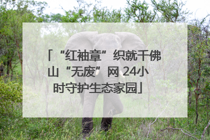 “红袖章”织就千佛山“无废”网 24小时守护生态家园