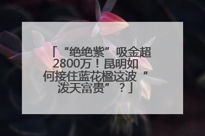 “绝绝紫”吸金超2800万！昆明如何接住蓝花楹这波“泼天富贵”？