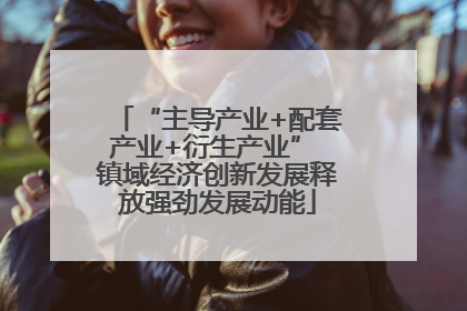 “主导产业+配套产业+衍生产业” 镇域经济创新发展释放强劲发展动能