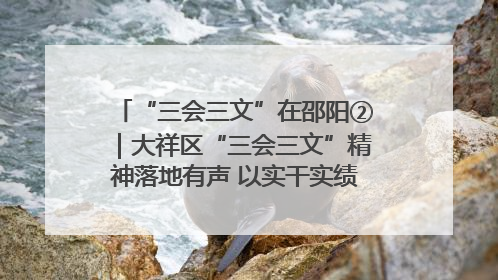 “三会三文”在邵阳②｜大祥区“三会三文”精神落地有声 以实干实绩助力区域高质量发展