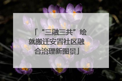 “三融三共”绘就搬迁安置社区融合治理新图景