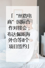 “丝路电商”国际合作对接会：布达佩斯海外仓等8个项目签约
