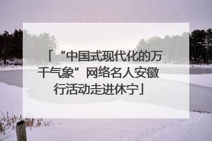 “中国式现代化的万千气象”网络名人安徽行活动走进休宁