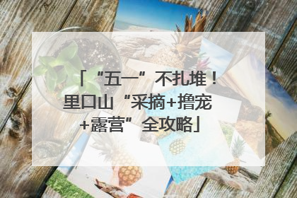 “五一”不扎堆！里口山“采摘+撸宠+露营”全攻略
