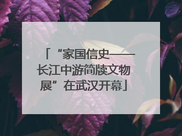 “家国信史——长江中游简牍文物展”在武汉开幕