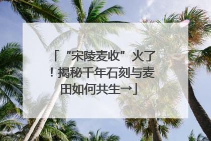 “宋陵麦收”火了！揭秘千年石刻与麦田如何共生→