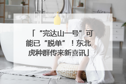 “完达山一号”可能已“脱单”！东北虎种群传来新喜讯