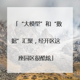 “大模型”和“数据”汇聚，经开区这座园区很酷炫