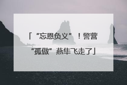 “忘恩负义”！警营“孤傲”燕隼飞走了
