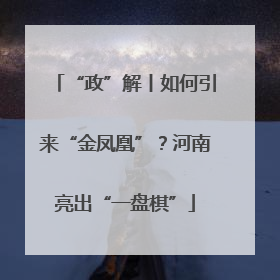 “政”解丨如何引来“金凤凰”？河南亮出“一盘棋”