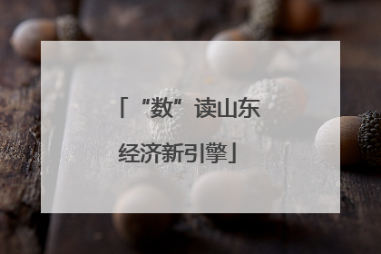 “数”读山东经济新引擎