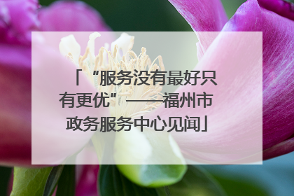 “服务没有最好只有更优”——福州市政务服务中心见闻