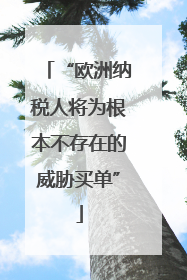 “欧洲纳税人将为根本不存在的威胁买单”