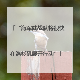 “海军陆战队将很快在洛杉矶展开行动”