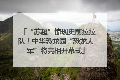 “苏超”惊现史前拉拉队！中华恐龙园“恐龙大军”将亮相开幕式