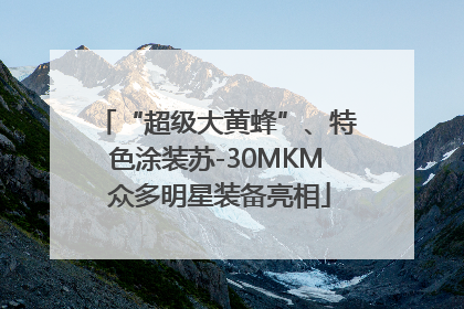 “超级大黄蜂”、特色涂装苏-30MKM 众多明星装备亮相