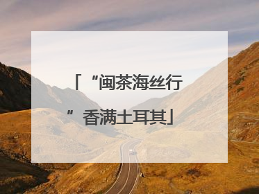 “闽茶海丝行”香满土耳其