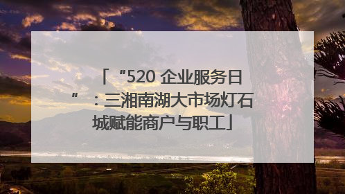 “520 企业服务日”：三湘南湖大市场灯石城赋能商户与职工