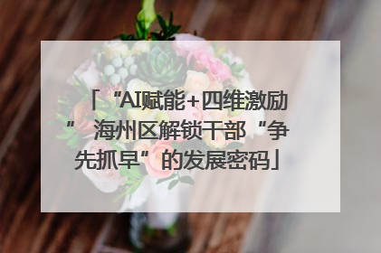 “AI赋能+四维激励” 海州区解锁干部“争先抓早”的发展密码