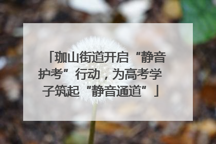 珈山街道开启“静音护考”行动，为高考学子筑起“静音通道”