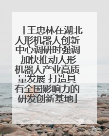 王忠林在湖北人形机器人创新中心调研时强调 加快推动人形机器人产业高质量发展 打造具有全国影响力的研发创新基地