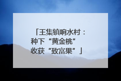 王集镇响水村：种下“黄金桃” 收获“致富果”