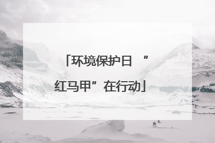 环境保护日 “红马甲”在行动