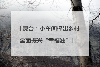 灵台：小车间榨出乡村全面振兴“幸福油”