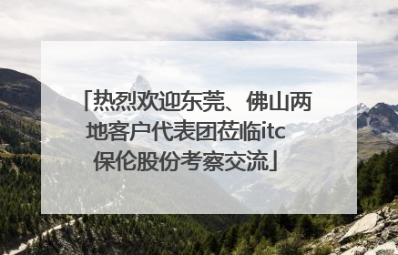 热烈欢迎东莞、佛山两地客户代表团莅临itc保伦股份考察交流