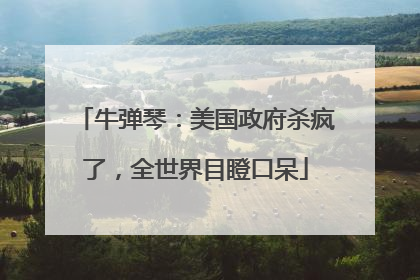 牛弹琴：美国政府杀疯了，全世界目瞪口呆