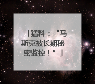 猛料：“马斯克被长期秘密监控！”