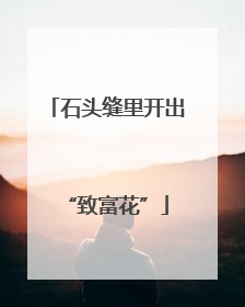 石头缝里开出“致富花”