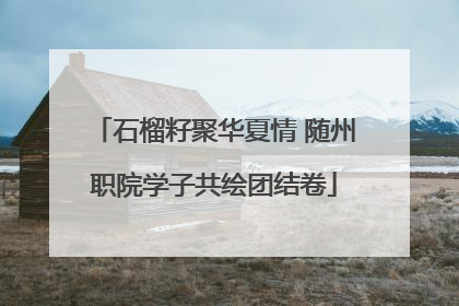 石榴籽聚华夏情 随州职院学子共绘团结卷