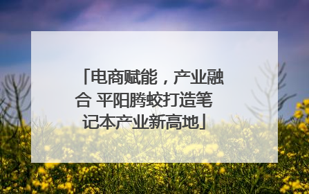 电商赋能，产业融合 平阳腾蛟打造笔记本产业新高地