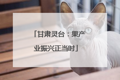 甘肃灵台：果产业振兴正当时