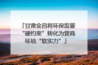 甘肃金昌将环保监管“硬约束”转化为营商环境“软实力”