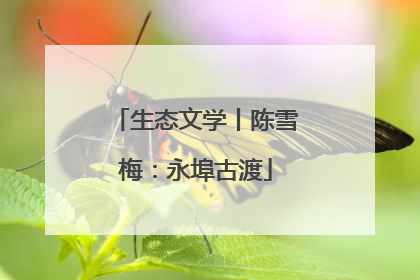 生态文学丨陈雪梅：永埠古渡