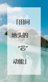 田间地头的“芯”动能