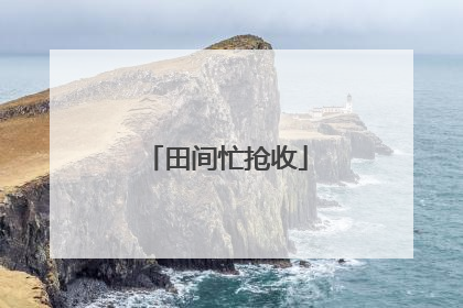 田间忙抢收