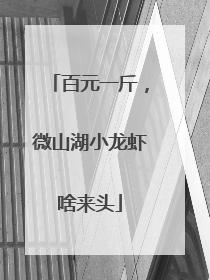 百元一斤，微山湖小龙虾啥来头
