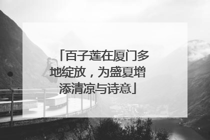 百子莲在厦门多地绽放，为盛夏增添清凉与诗意