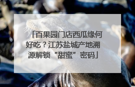百果园门店西瓜缘何好吃？江苏盐城产地溯源解锁“甜蜜”密码