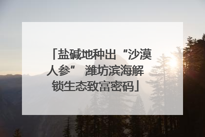 盐碱地种出“沙漠人参” 潍坊滨海解锁生态致富密码