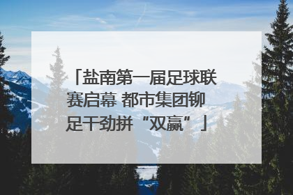 盐南第一届足球联赛启幕 都市集团铆足干劲拼“双赢”